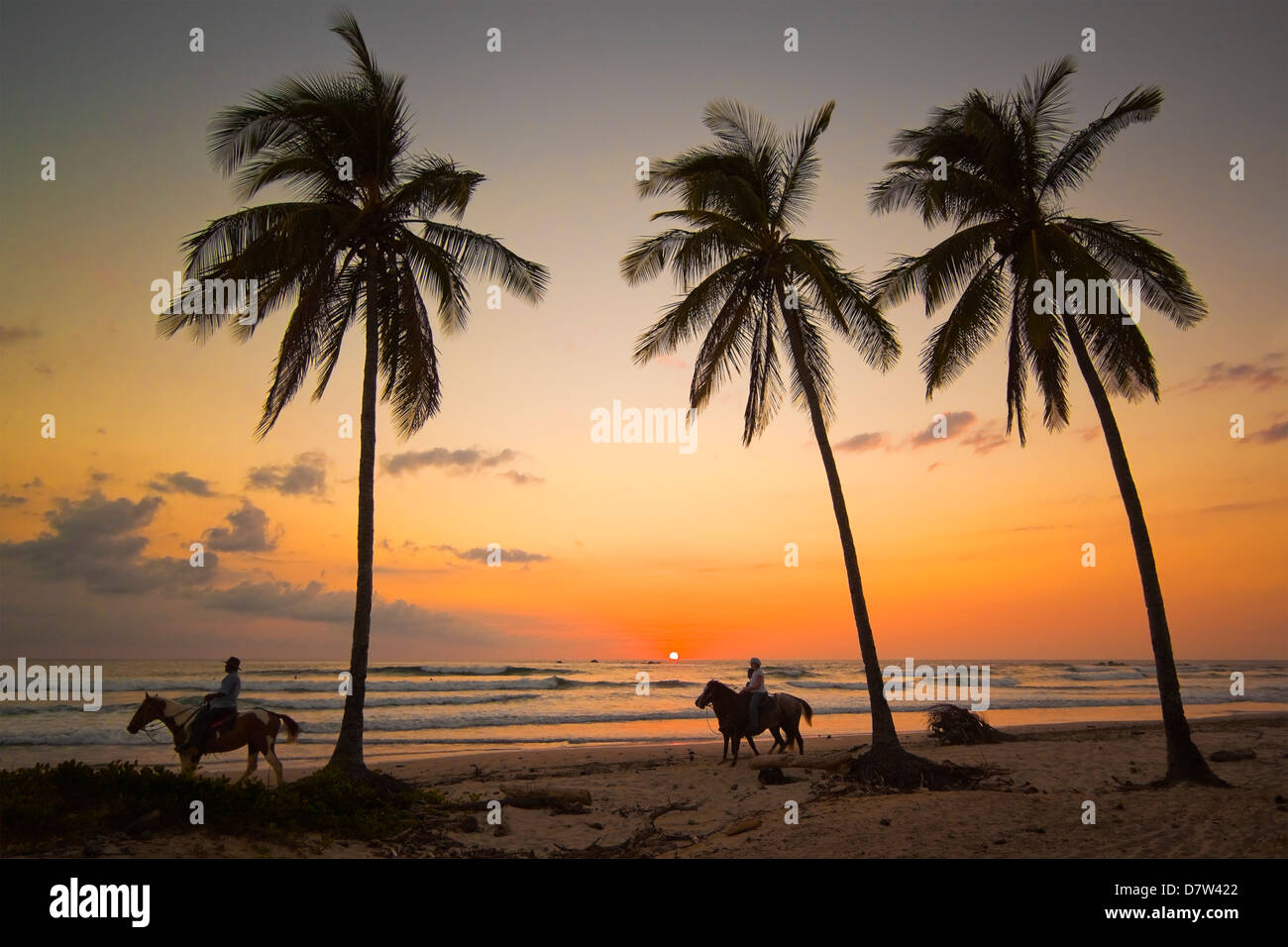 Les cavaliers au coucher du soleil, Playa Guiones Nosara Beach, surf, Péninsule de Nicoya, Province de Guanacaste, Costa Rica Banque D'Images