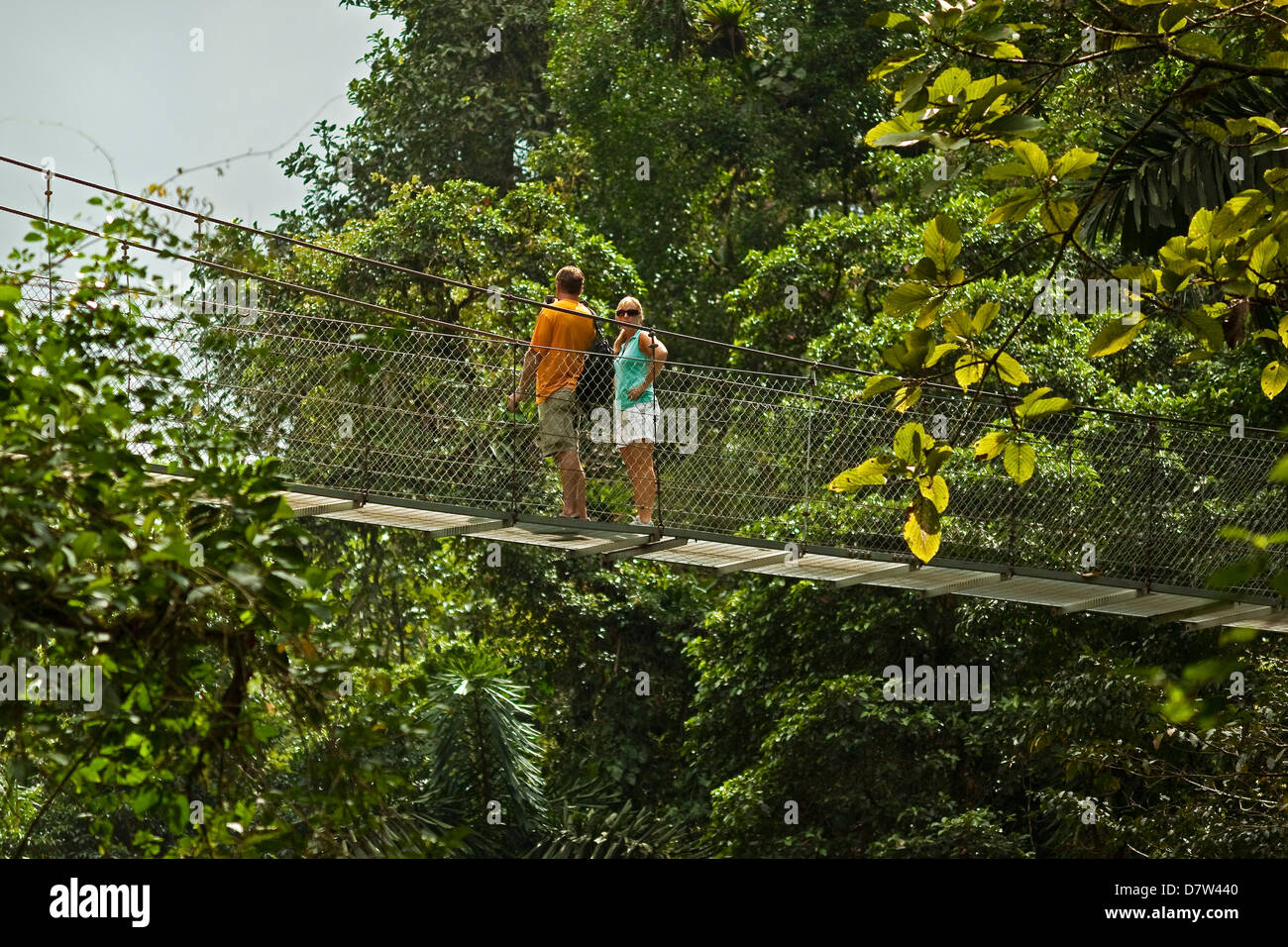 Les touristes en promenade dans la forêt vierge à ponts suspendus d'Arenal, la Fortuna, Province d'Alajuela, Costa Rica Banque D'Images