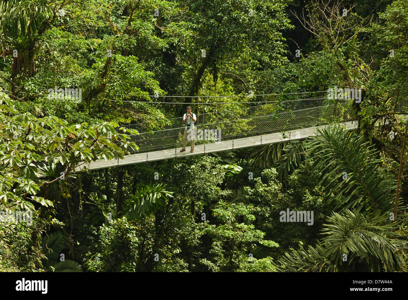 Visiteur à ponts suspendus d'Arenal où de forêt vierge est accessible par des passerelles, la Fortuna, Province d'Alajuela, Costa Rica Banque D'Images