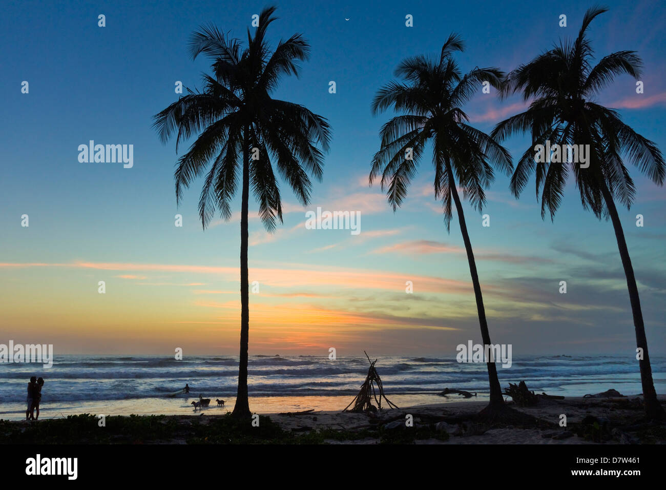 Palmiers au coucher du soleil sur la Playa Guiones surf plage au coucher du soleil, Nosara, Péninsule de Nicoya, Province de Guanacaste, Costa Rica Banque D'Images
