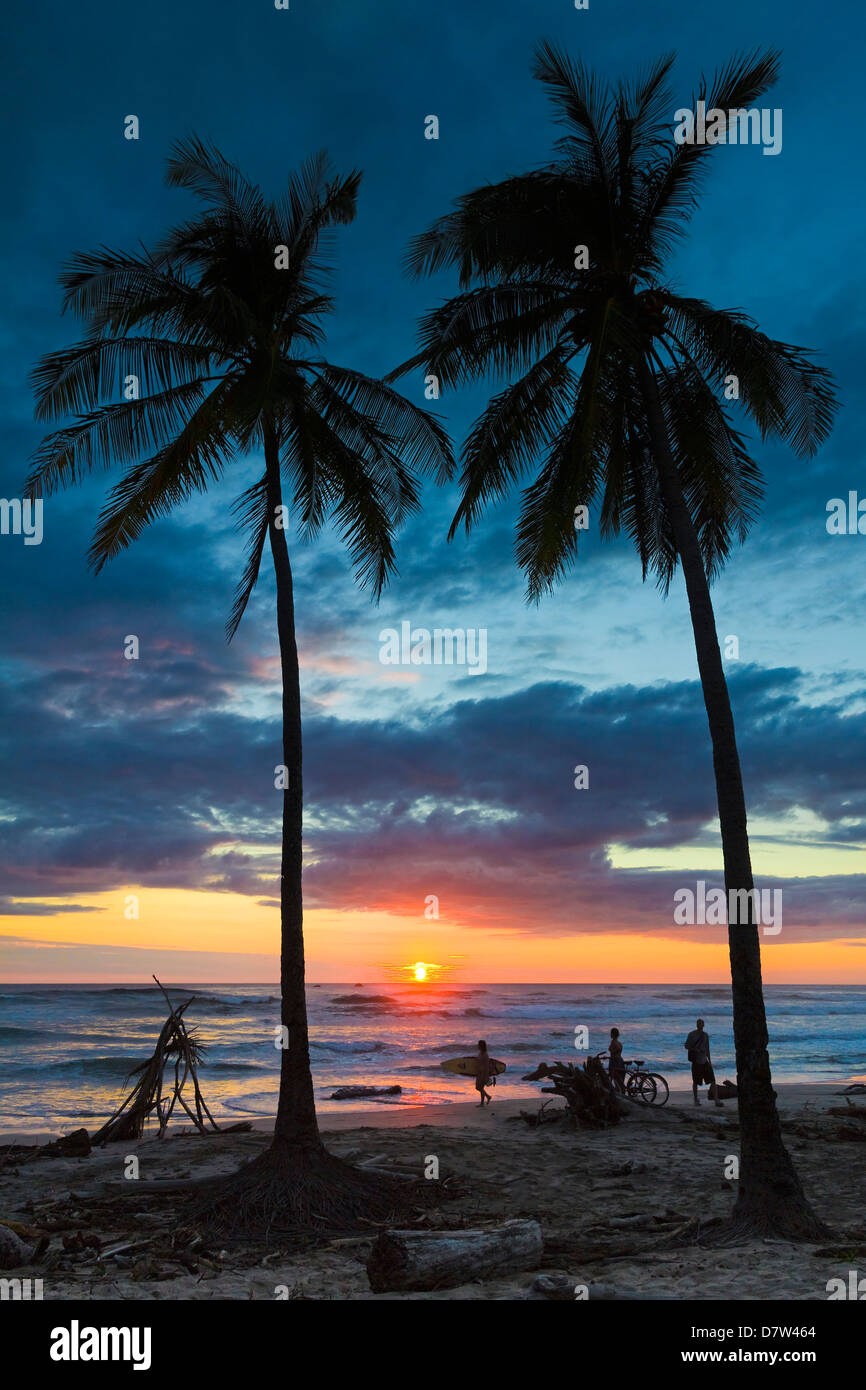 Surfer et palmiers au coucher du soleil sur la Playa Guiones surf plage au coucher du soleil, Nosara, Péninsule de Nicoya, Province de Guanacaste, Costa Rica Banque D'Images