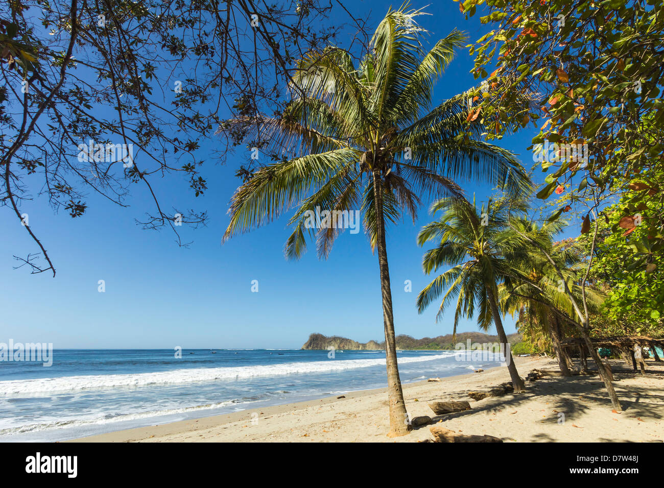 Le sable blanc de la plage bordée de palmiers à laid-back et village resort, Samara, Péninsule de Nicoya, Province de Guanacaste, Costa Rica Banque D'Images