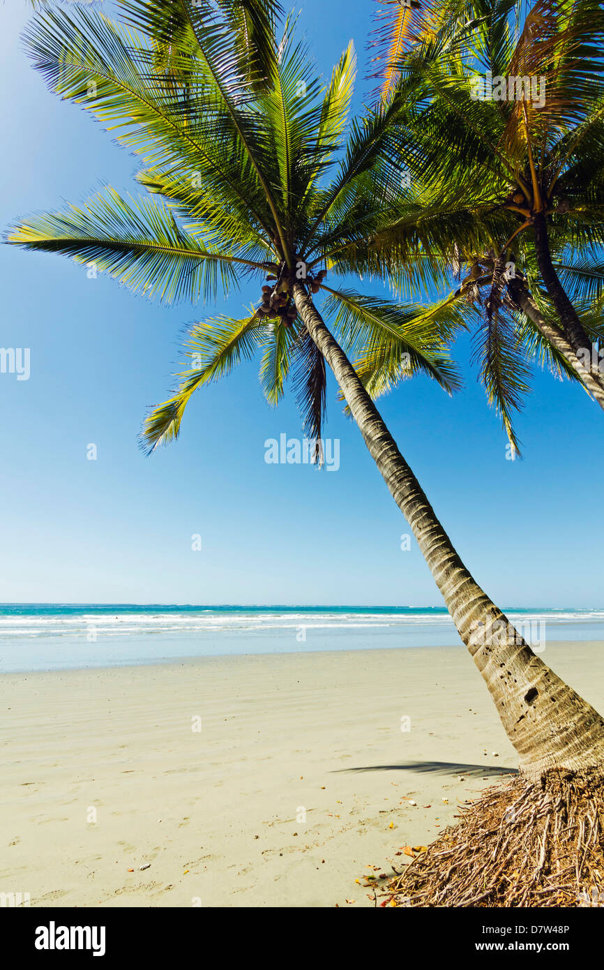 Le sable blanc de la plage bordée de palmiers, à ce village & resort, Samara, Province de Guanacaste, Péninsule de Nicoya, Costa Rica Banque D'Images