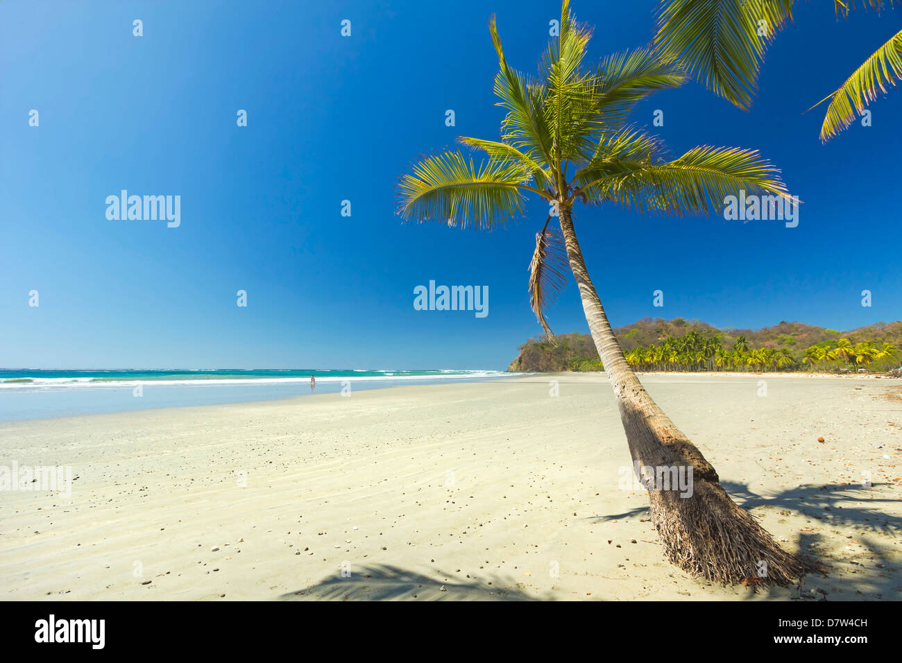 Le sable blanc de la plage bordée de palmiers à laid-back et village resort, Samara, Péninsule de Nicoya, Province de Guanacaste, Costa Rica Banque D'Images