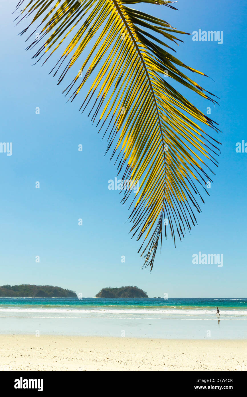 Le sable blanc de la plage bordée de palmiers, à ce village & resort, Samara, Province de Guanacaste, Péninsule de Nicoya, Costa Rica Banque D'Images