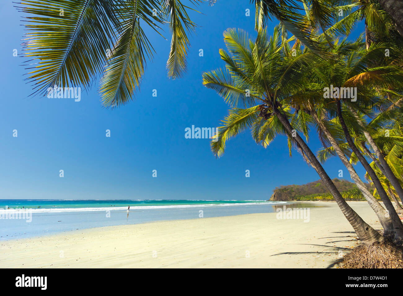 Le sable blanc de la plage bordée de palmiers, à ce village & resort, Samara, Province de Guanacaste, Péninsule de Nicoya, Costa Rica Banque D'Images
