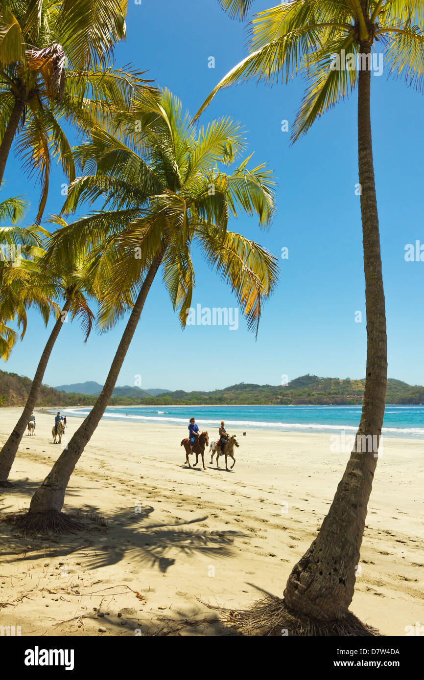 Les cavaliers sur la magnifique Playa Carrillo, palmiers Carrillo, près de Samara, Province de Guanacaste, Péninsule de Nicoya, Costa Rica Banque D'Images