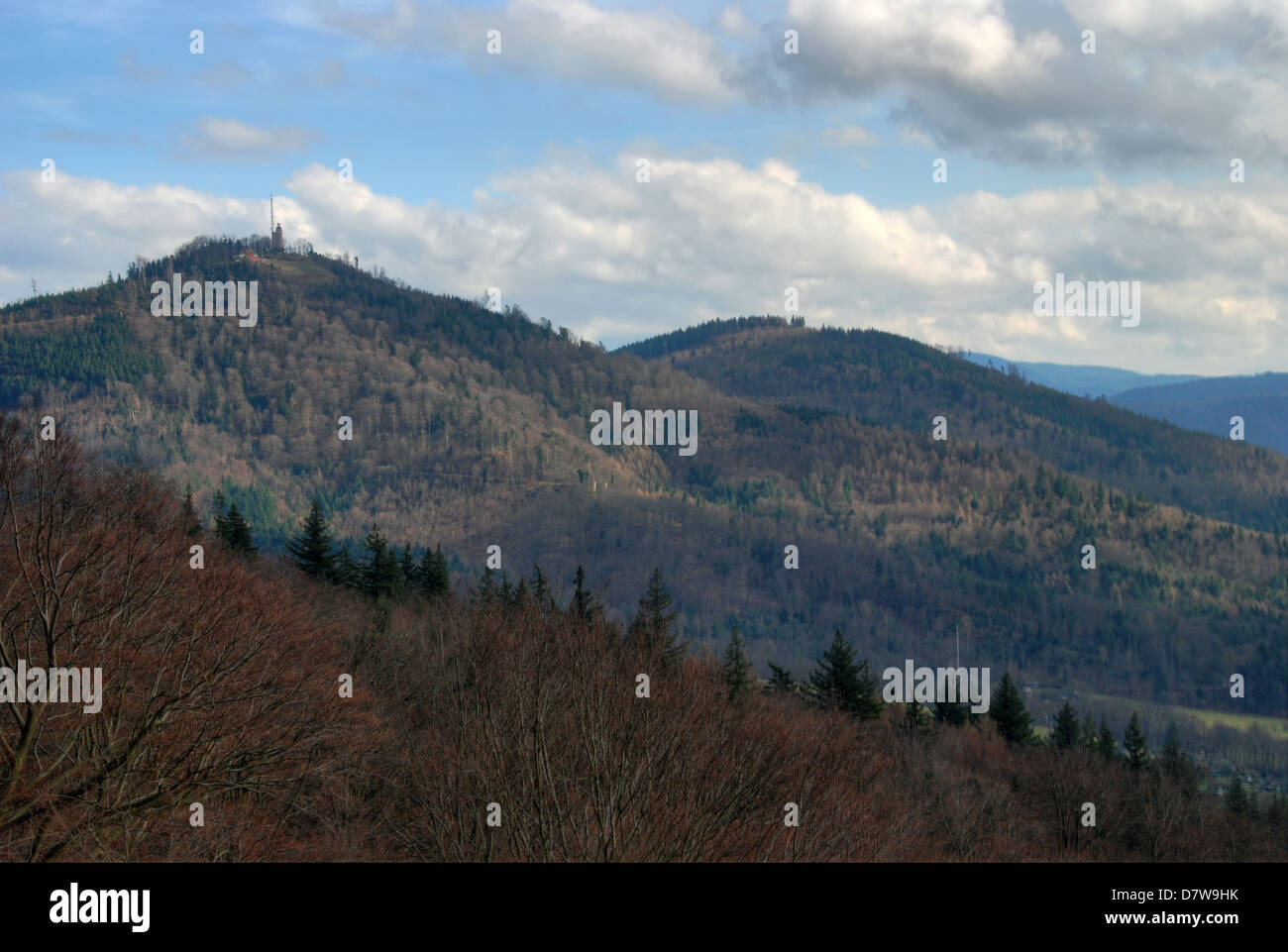 Collines de la Forêt-Noire, Allemagne Banque D'Images