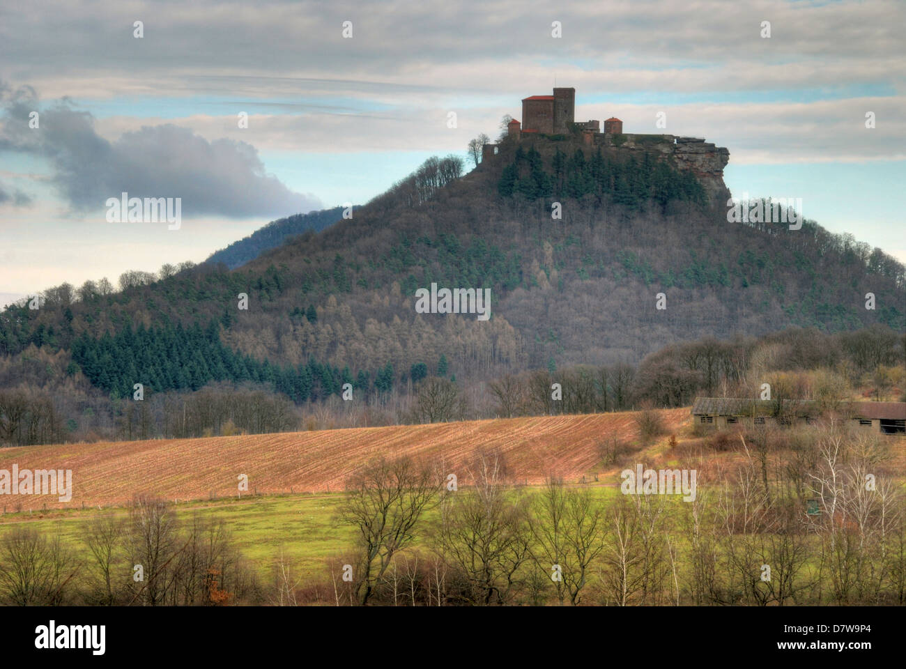 Le château de Trifels au sommet d'une colline dans la forêt du Palatinat Banque D'Images