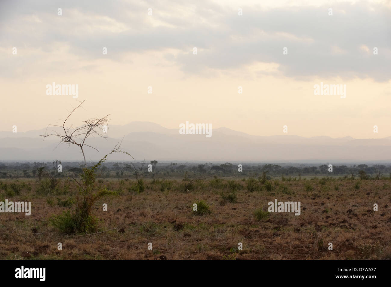 Paysage de désert, le Parc National de Meru, au Kenya Banque D'Images