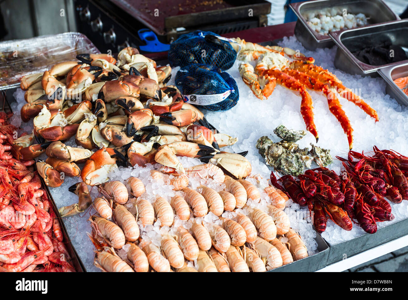 Poisson Shell stand au marché du poisson, la Norvège Bergen Banque D'Images