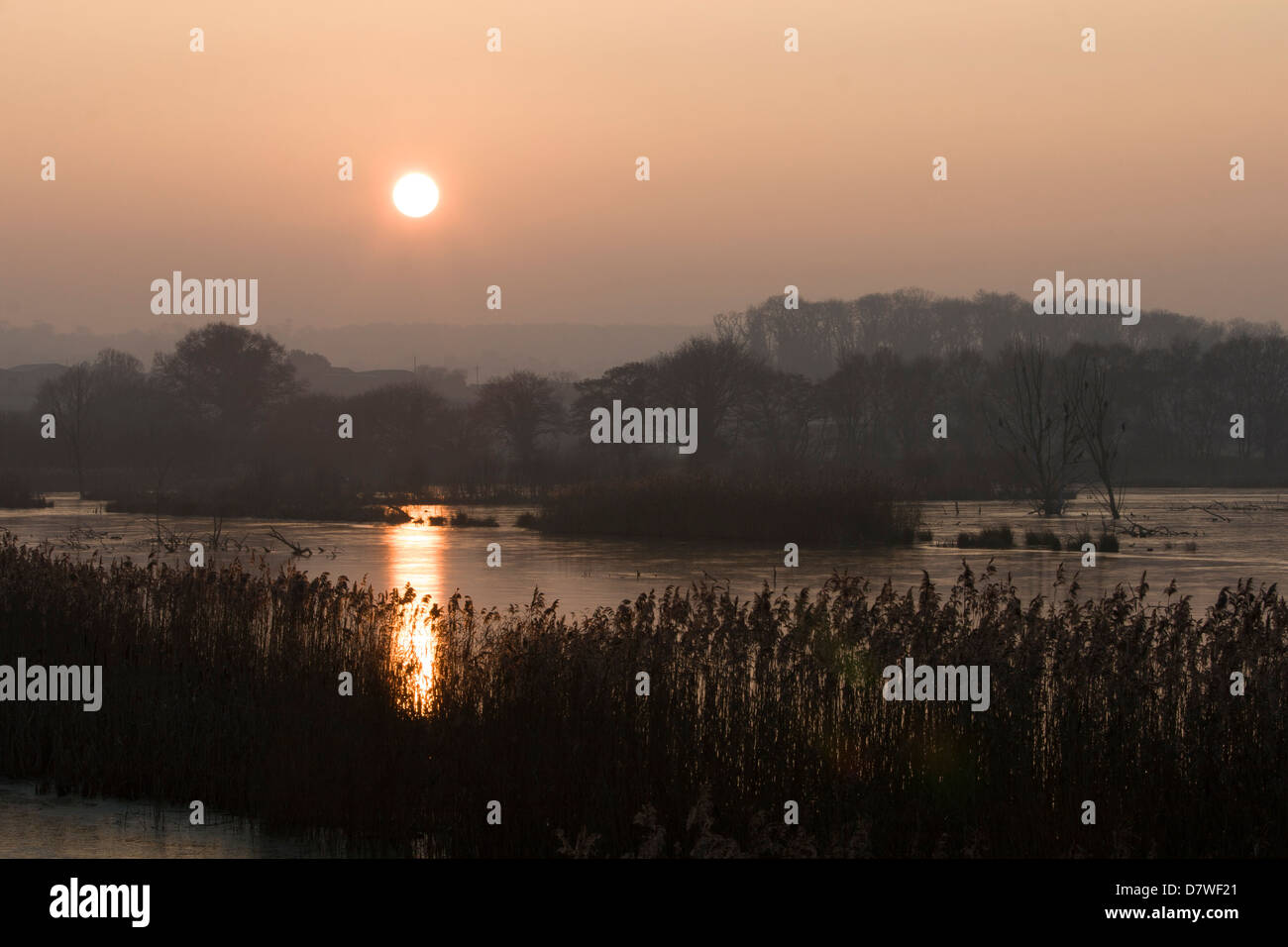 Shapwick Heath au coucher du soleil des terres humides Banque D'Images