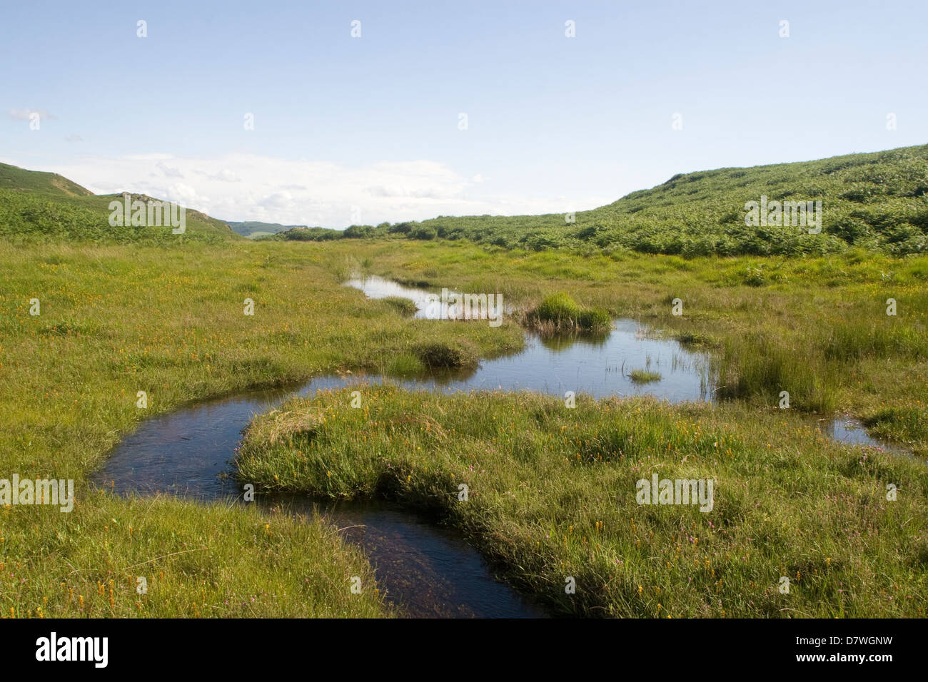 Boue noire, Loughrigg, Lake District National Park, Royaume-Uni Banque D'Images