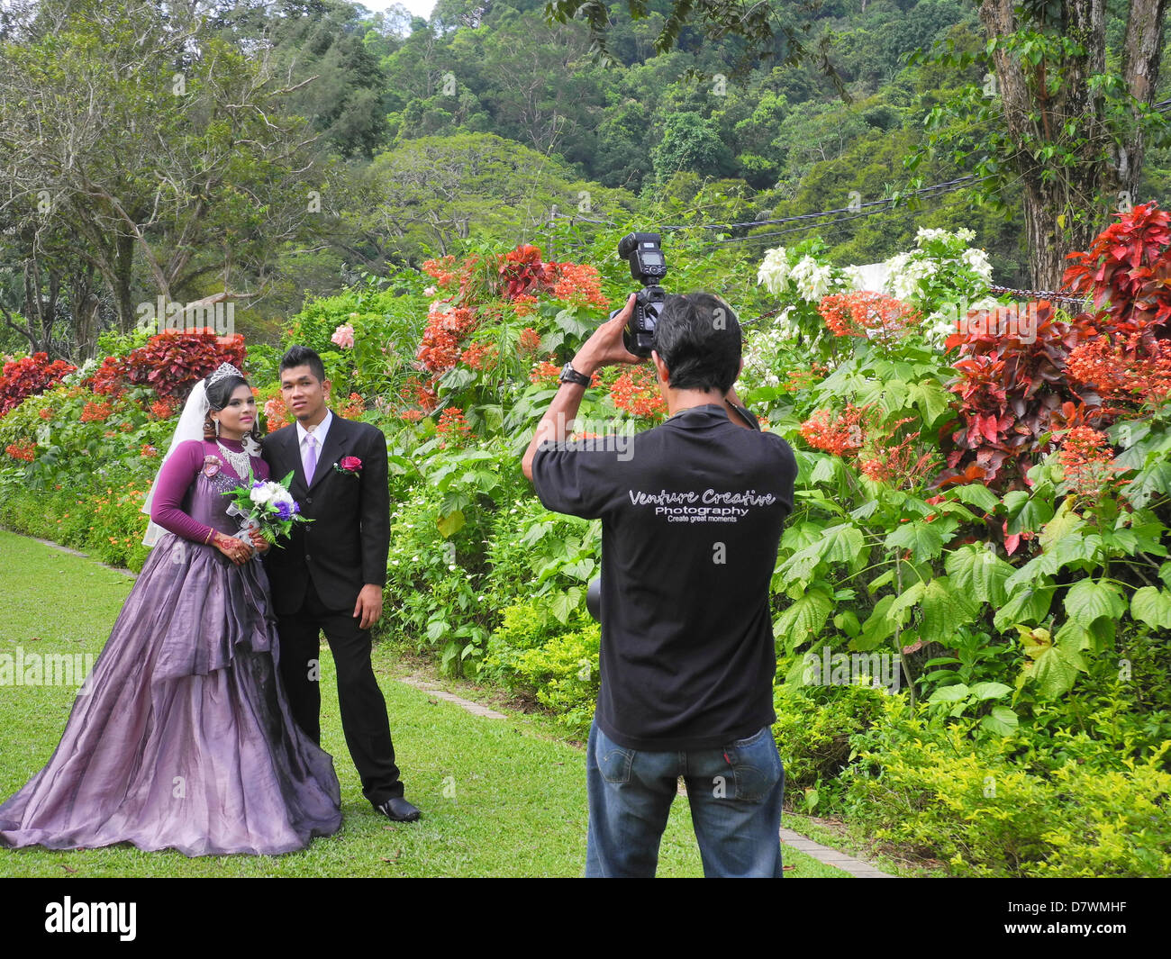 Asie Malaisie Penang Botanic garden Banque D'Images