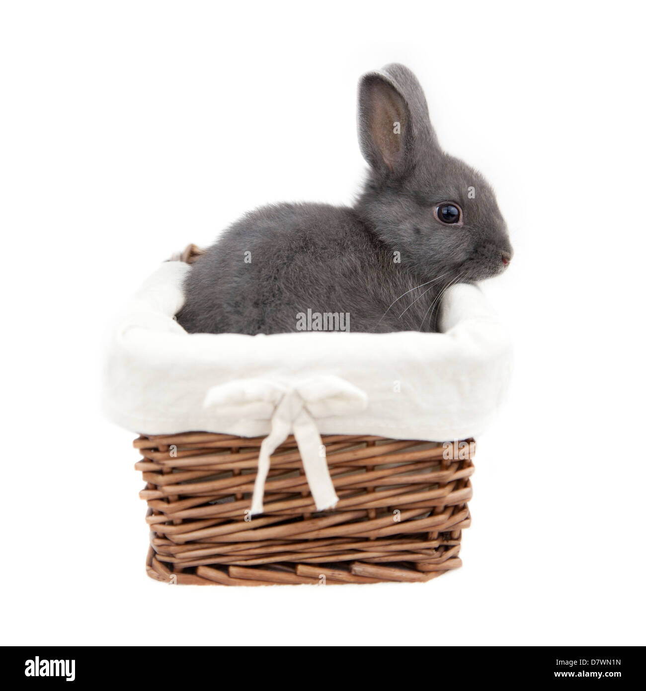 Cute baby bunny dans un petit panier isolé sur fond blanc Banque D'Images