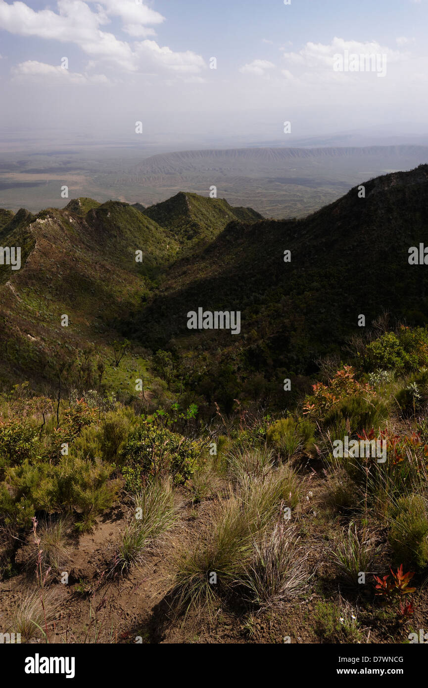 Le mont Longonot National Park, Kenya Banque D'Images