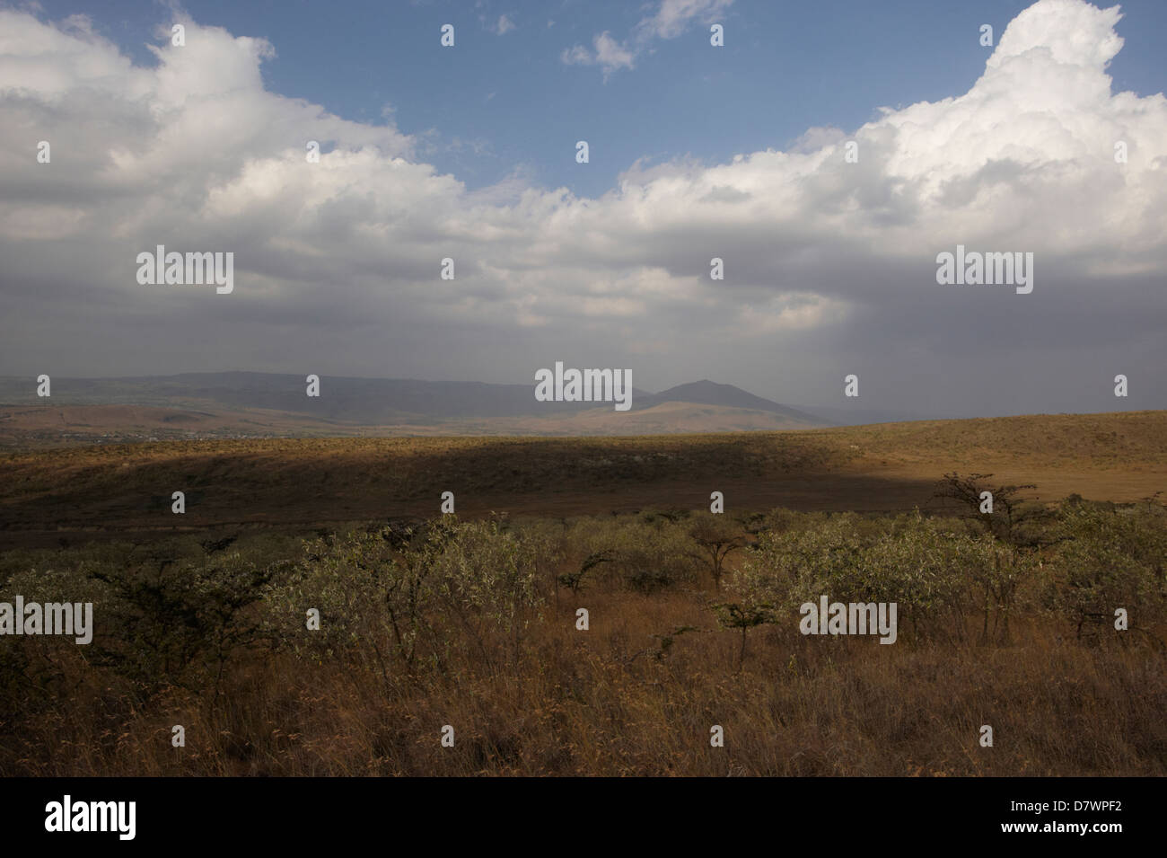 Vue sur la Grande Vallée du Rift du Mont Longonot, le Mont Longonot National Park, Nakuru, Kenya Banque D'Images