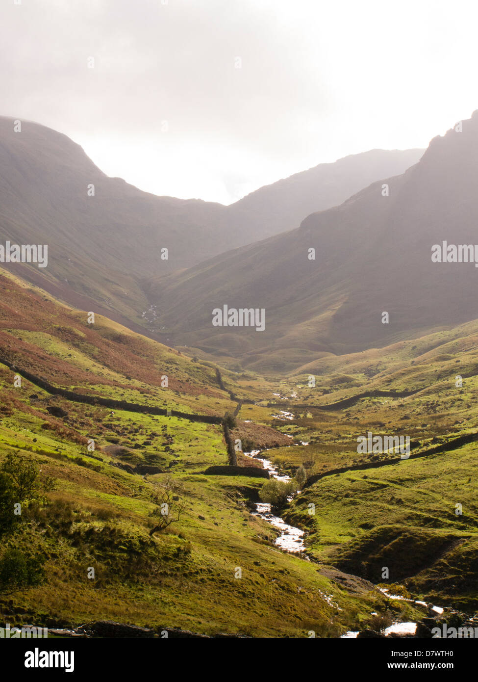 Bas Hartsop pâturage Nr - Lake District National Park Banque D'Images