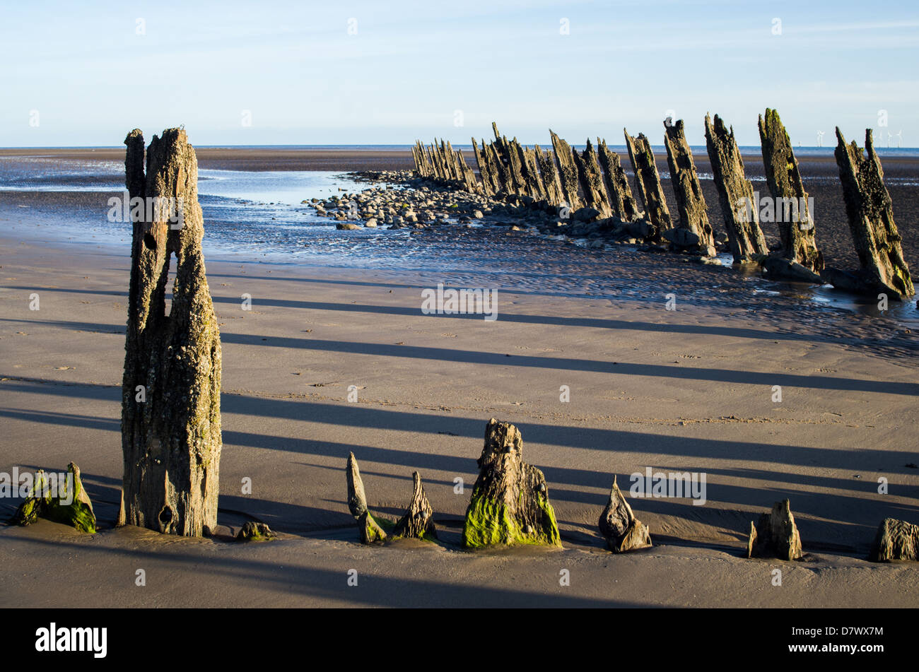 Rangées de vieux poteaux en bois en décomposition qui dépasse de la sable d'une plage à marée basse. De longues ombres soleil bas ciel bleu. Banque D'Images