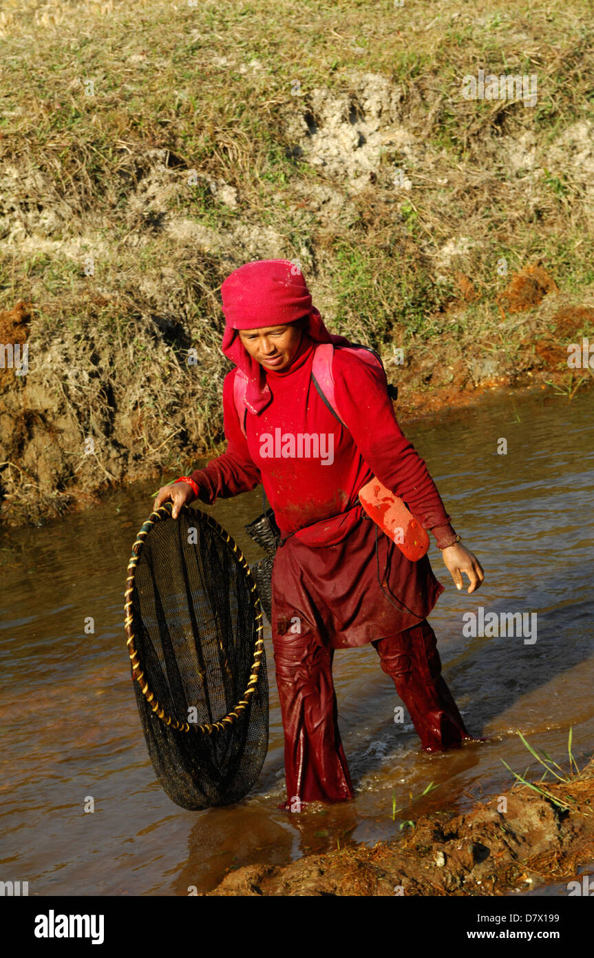 Les népalaises avec filets de pêche traditionnels près de Phokara, Népal Banque D'Images