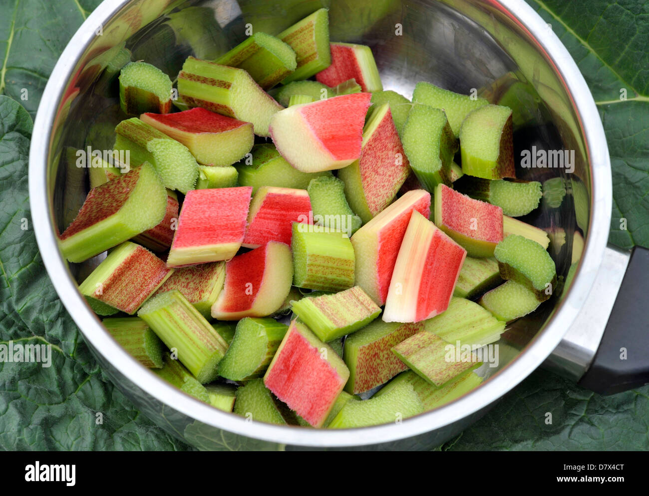 Nouvelle saison de la rhubarbe dans une casserole et prêt à cuire. Banque D'Images