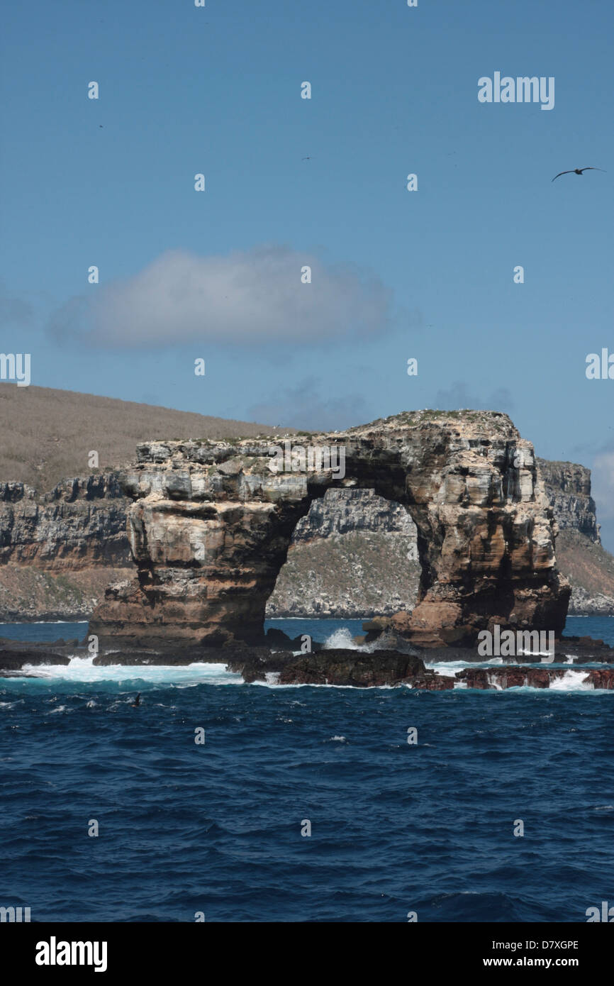 Darwin's Arch, Îles Galápagos Banque D'Images