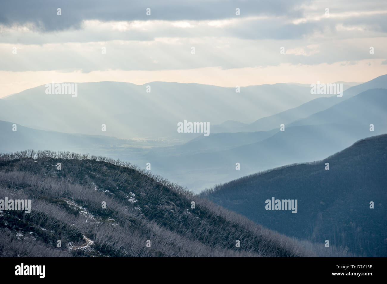 Les faisceaux lumineux couper à travers les nuages sur les forêts d'arbres sans feuilles near the Falls Creek resorts dans les Alpes Australiennes. Banque D'Images