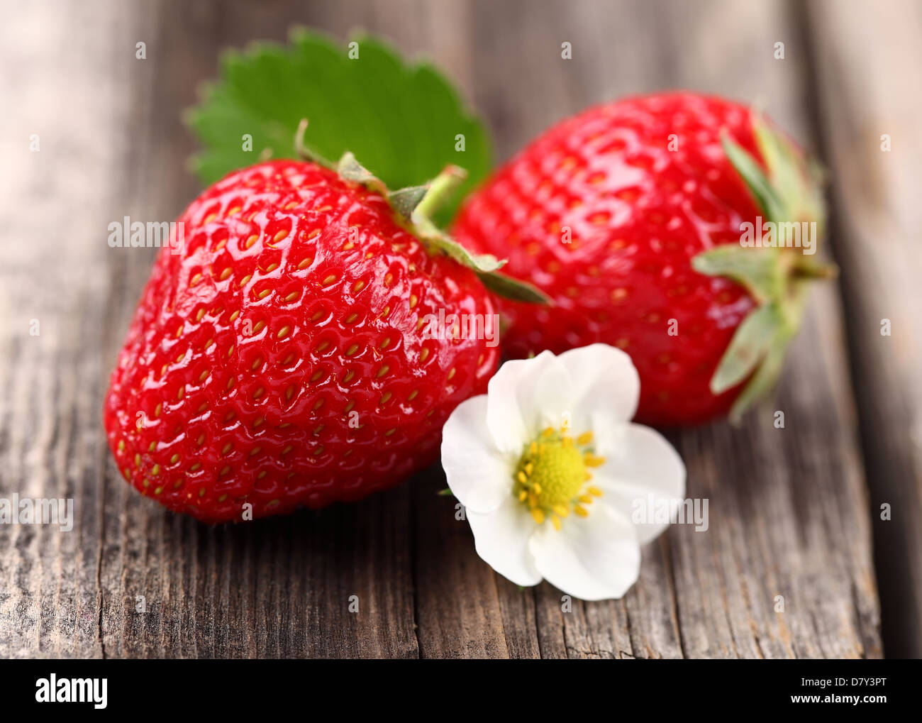 Des fraises fraîches sur un fond de bois Banque D'Images