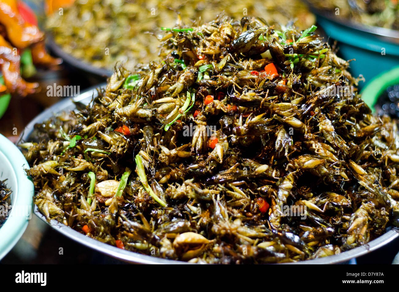 Les insectes en vente par vendeur de rue à la Riverside,Phnom Penh Cambodge Banque D'Images