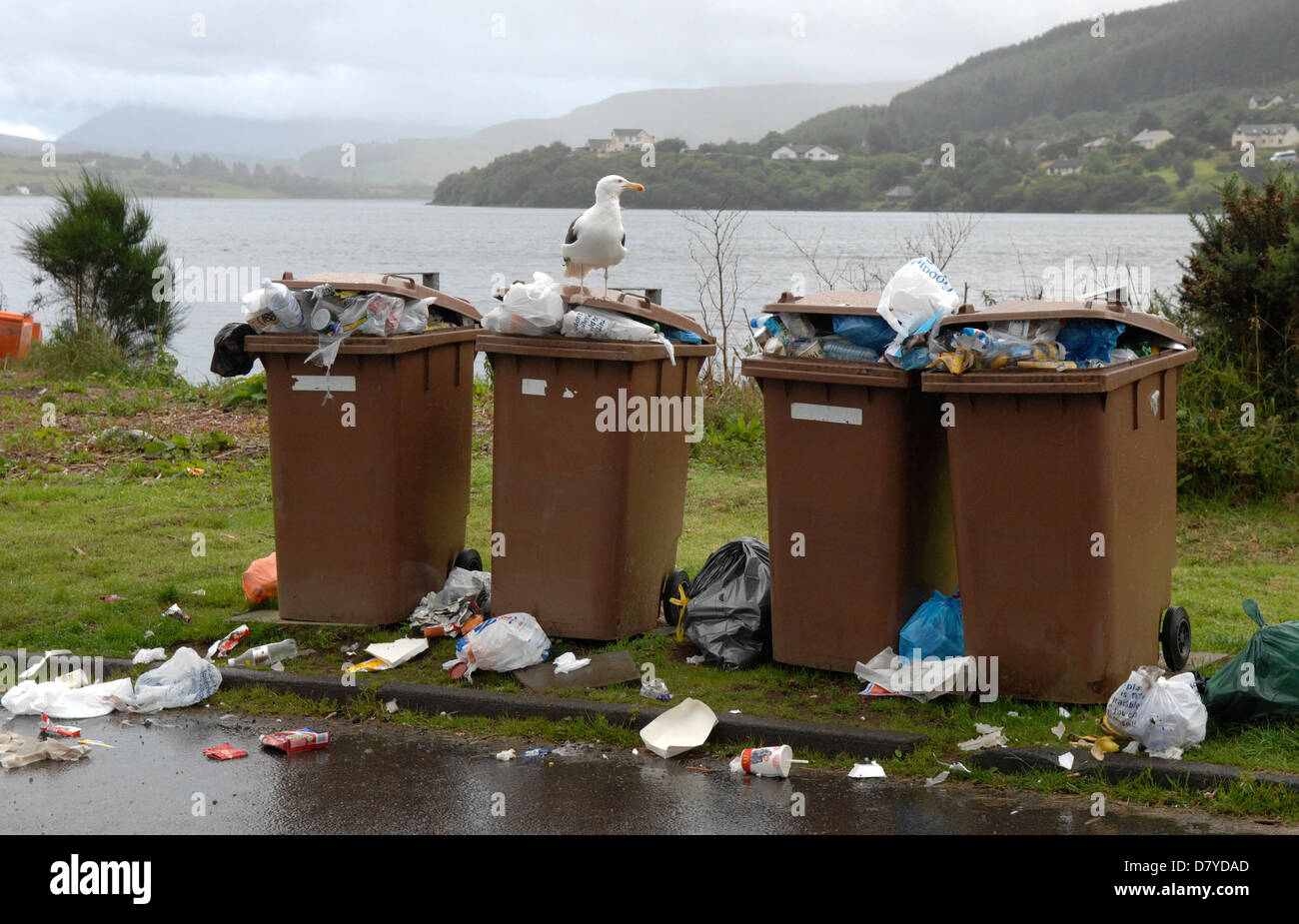 Wheelie bins, débordant d'ordures, l'île de Skye, Écosse Banque D'Images