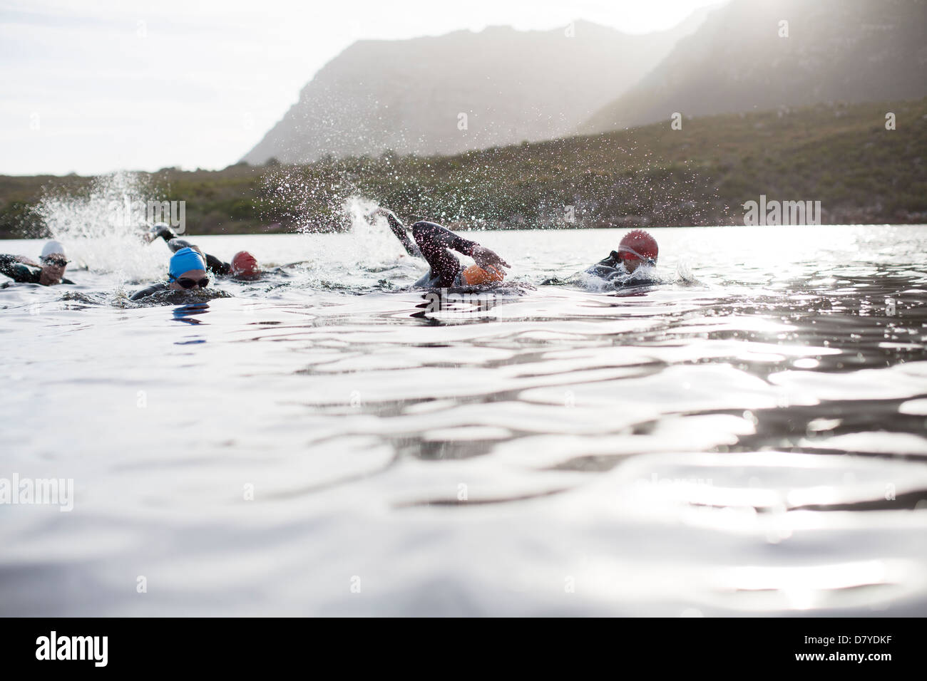 Natation Triathlètes Banque D'Images