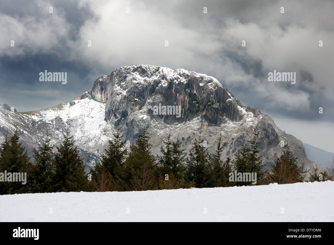 Paysage d'hiver avec une montagne et des pins Banque D'Images