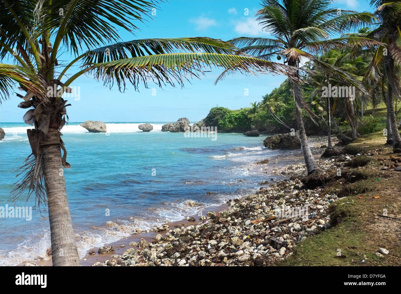 Plages de galets sur la côte Est de la Barbade au bol de soupe Bay, Bathsheba Banque D'Images