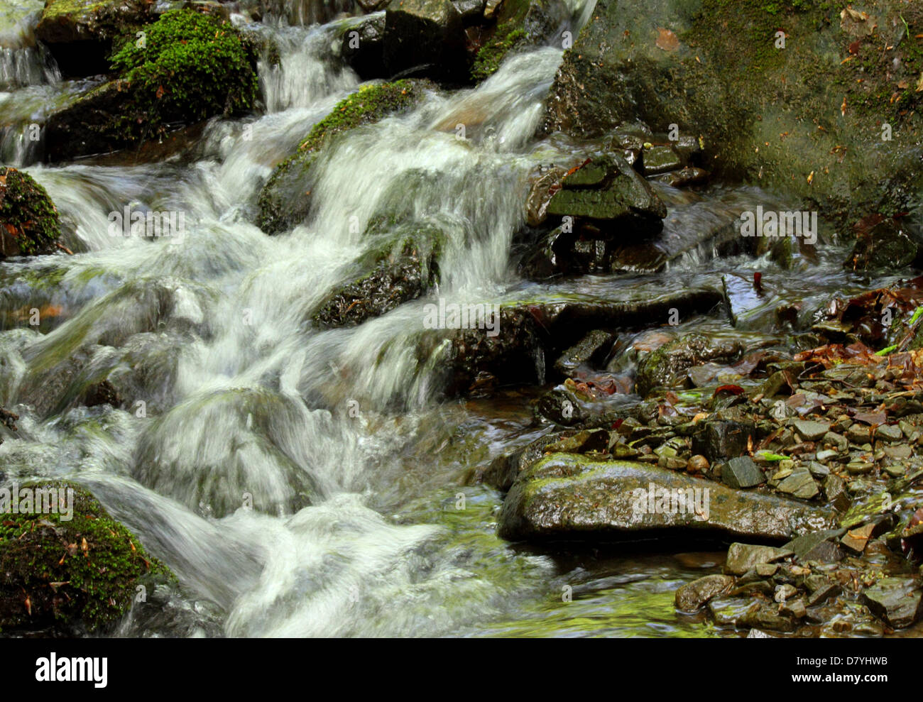 Cascade sur un ruisseau en montagne Banque D'Images