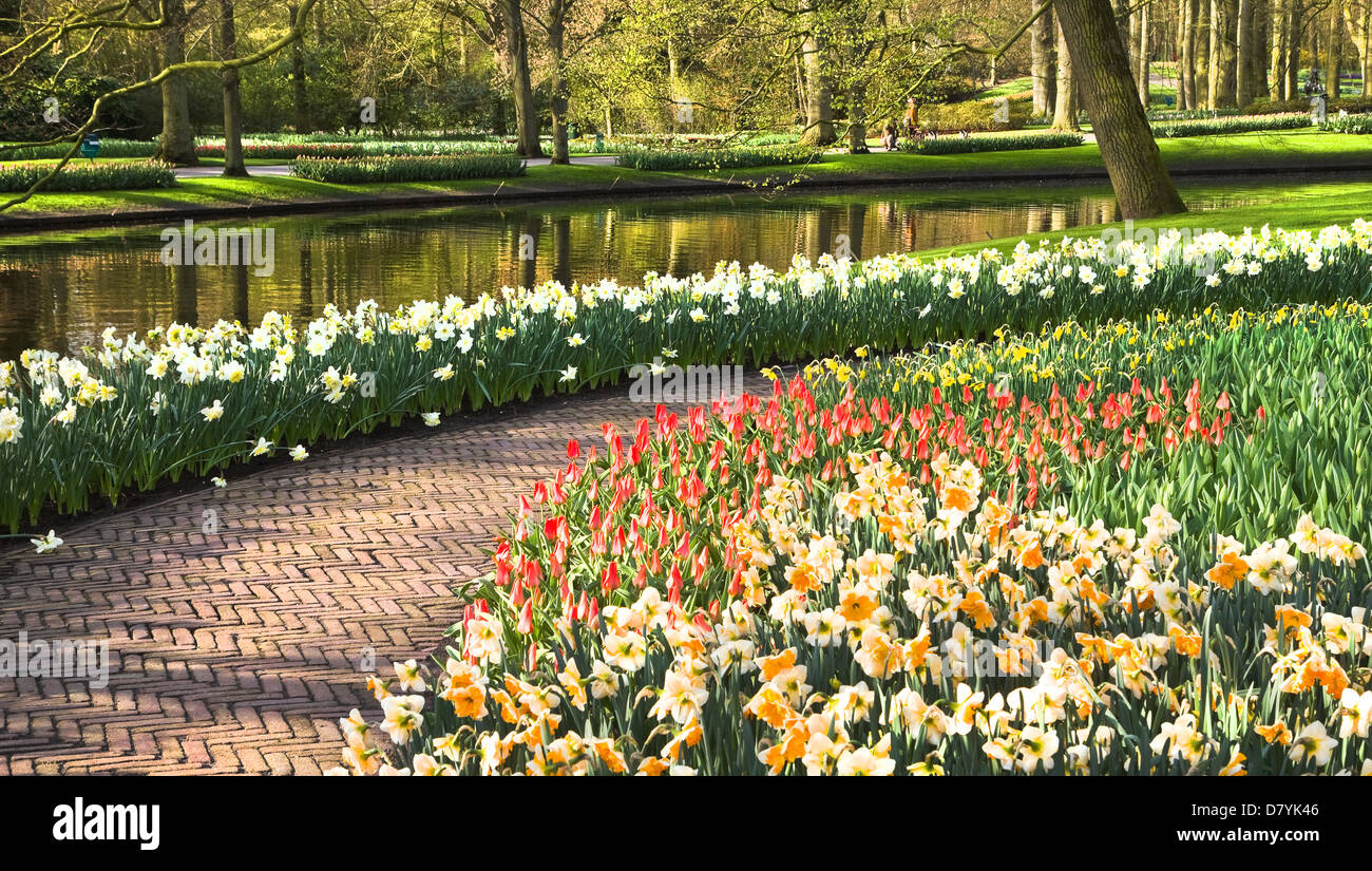 Chemin et étang dans le parc au printemps avec des tulipes et des jonquilles Banque D'Images