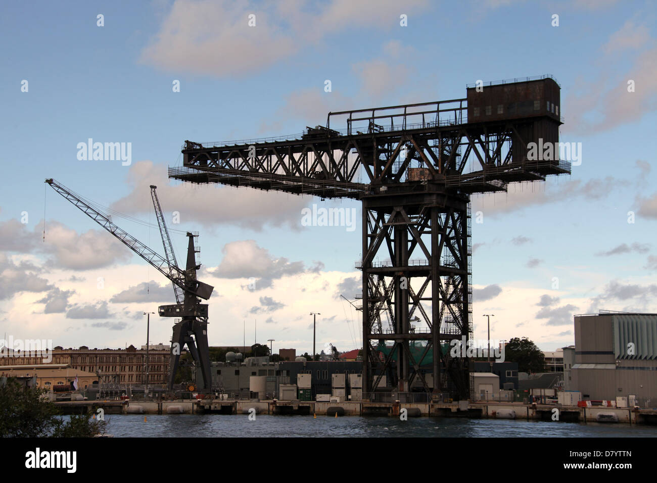 Au jardin de l'île (grue à Sydney Banque D'Images