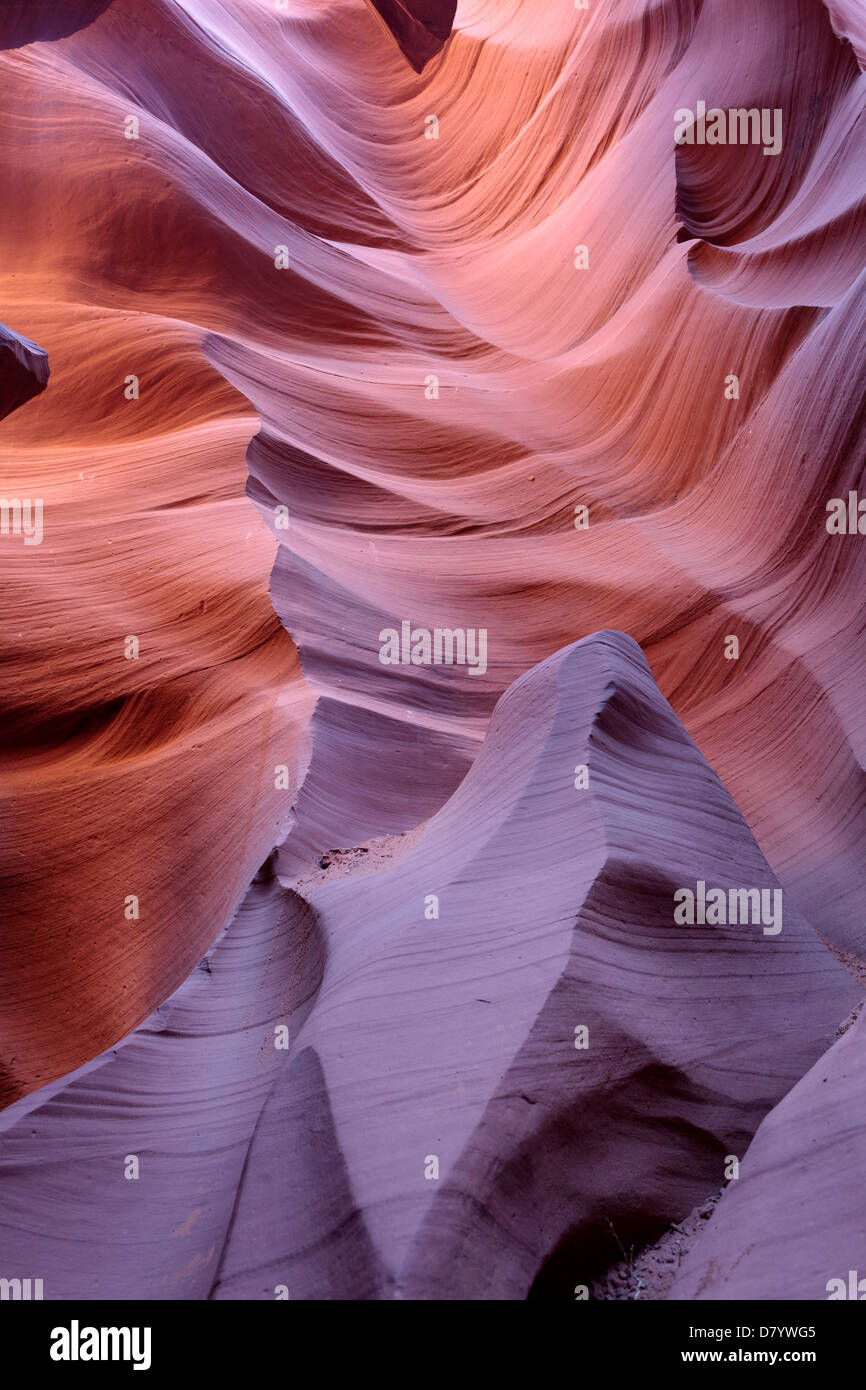 USA, Arizona, Page, Lower Antelope Canyon Banque D'Images