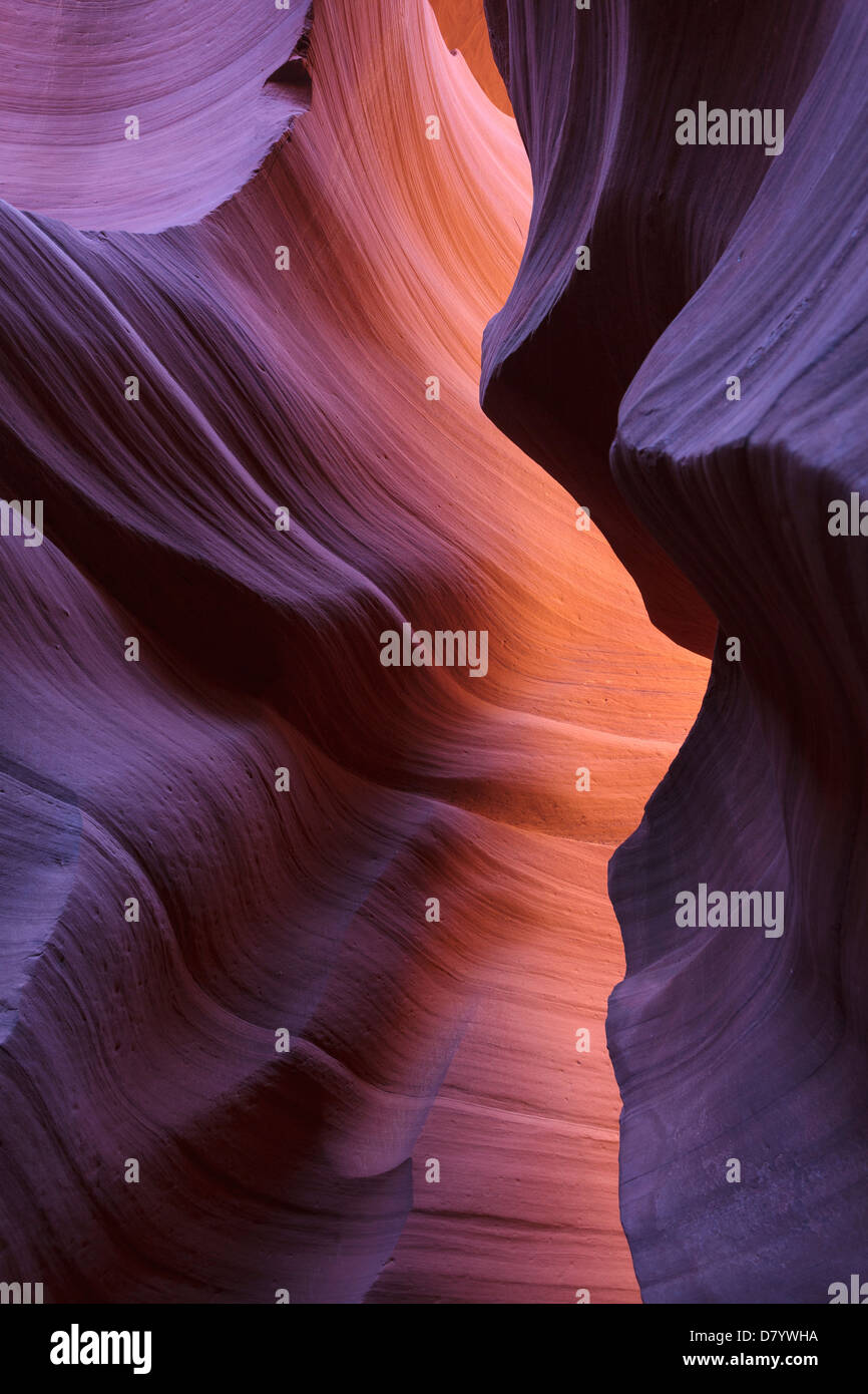 USA, Arizona, Page, Lower Antelope Canyon Banque D'Images