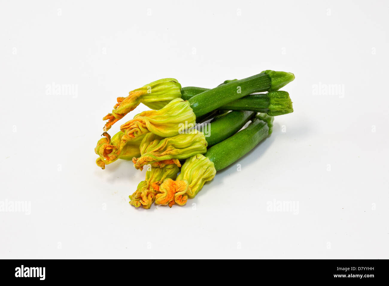 Une pile de courgettes vertes avec des fleurs jaunes est toujours fixé sur un fond blanc. Banque D'Images