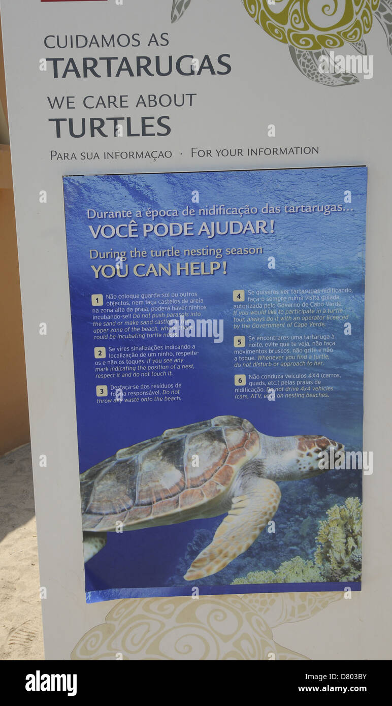 Inscrivez-vous sur les tortues PONTA PRETA beach Santa Maria Sal au Cap Vert Banque D'Images