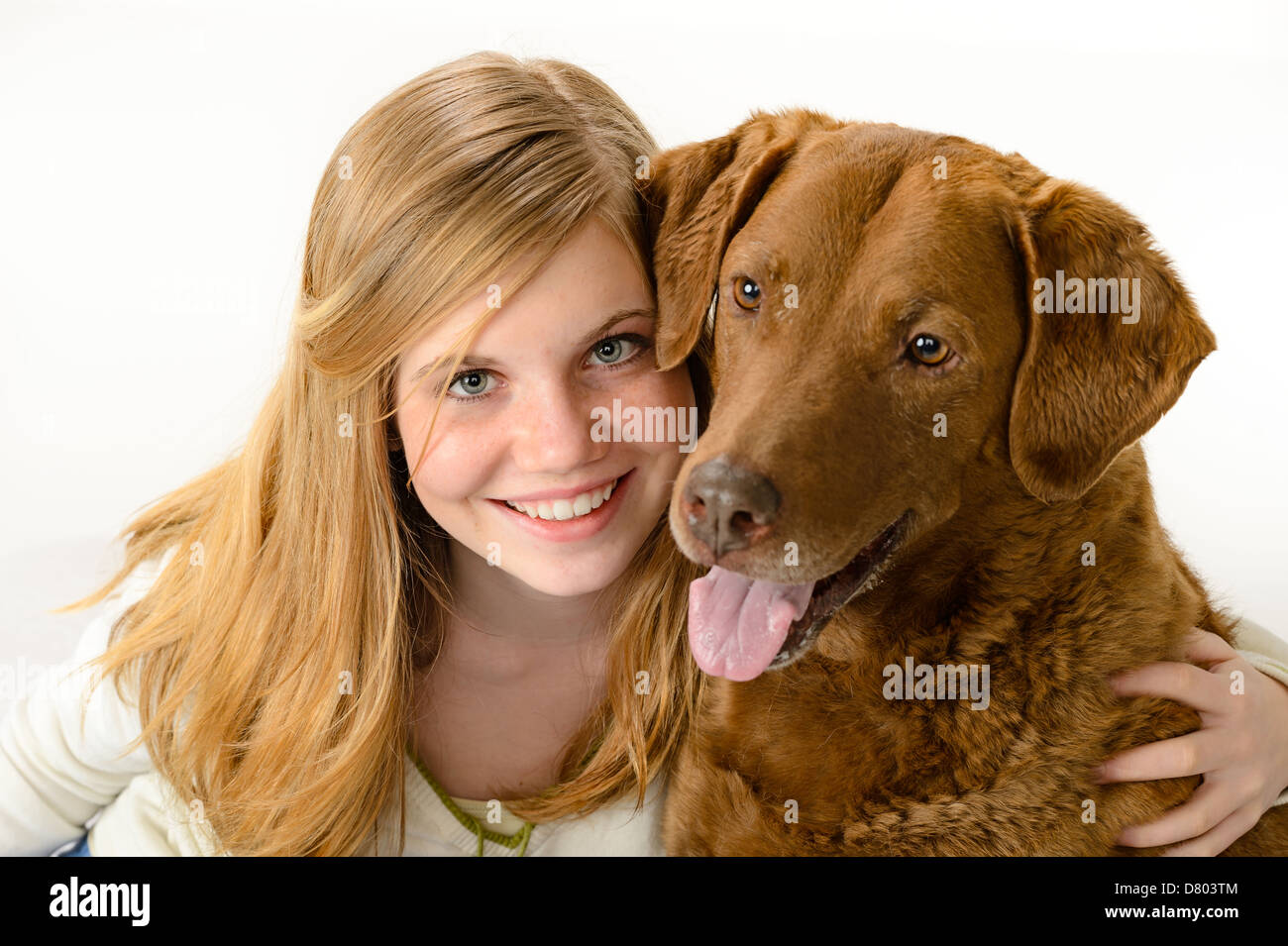 Cute girl holding un chien sur fond blanc Banque D'Images