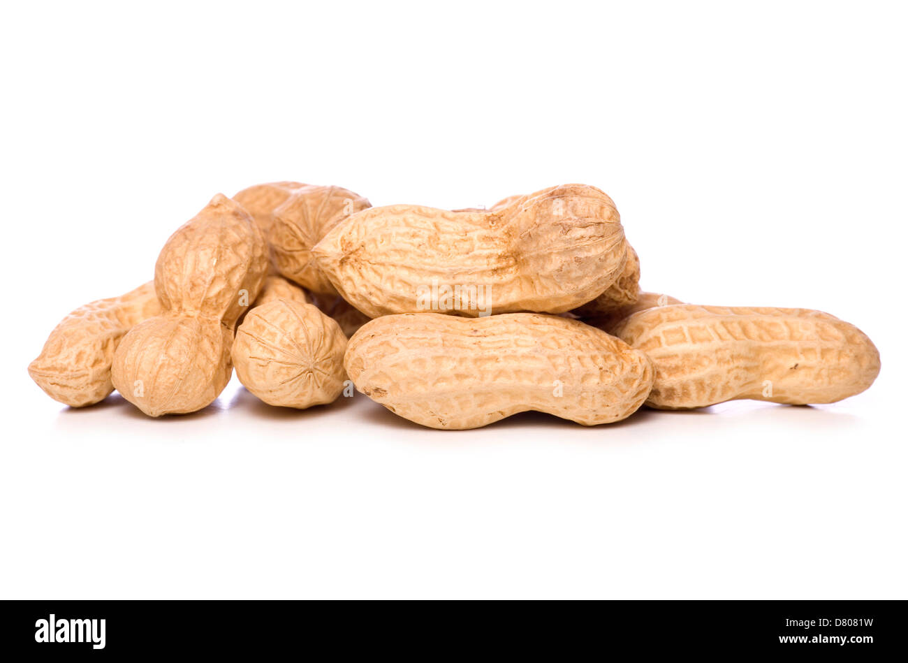 Pile de monkey studio nuts dentelle Banque D'Images