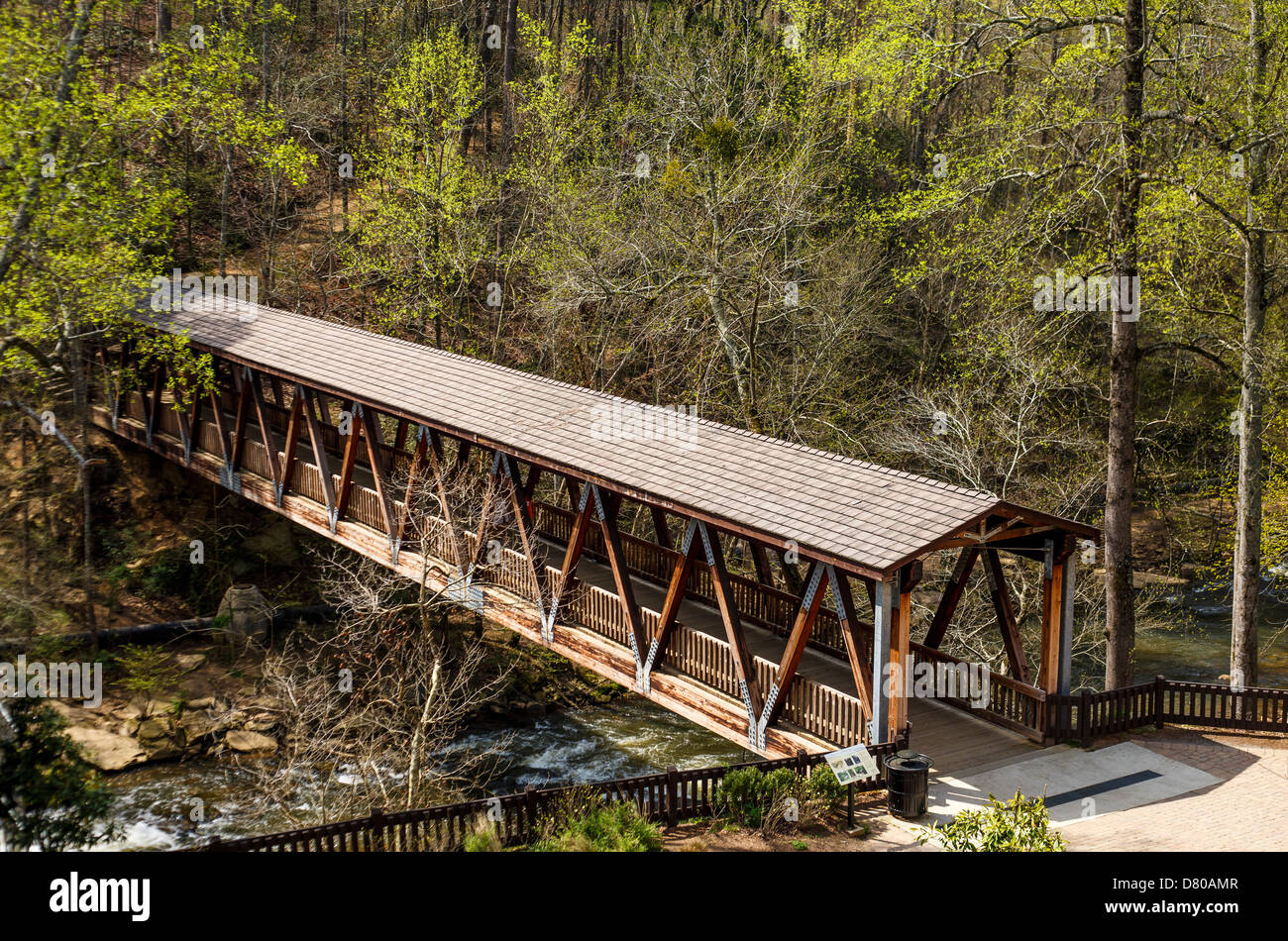 Un vieux pont couvert en bois, dans la forêt au printemps Banque D'Images