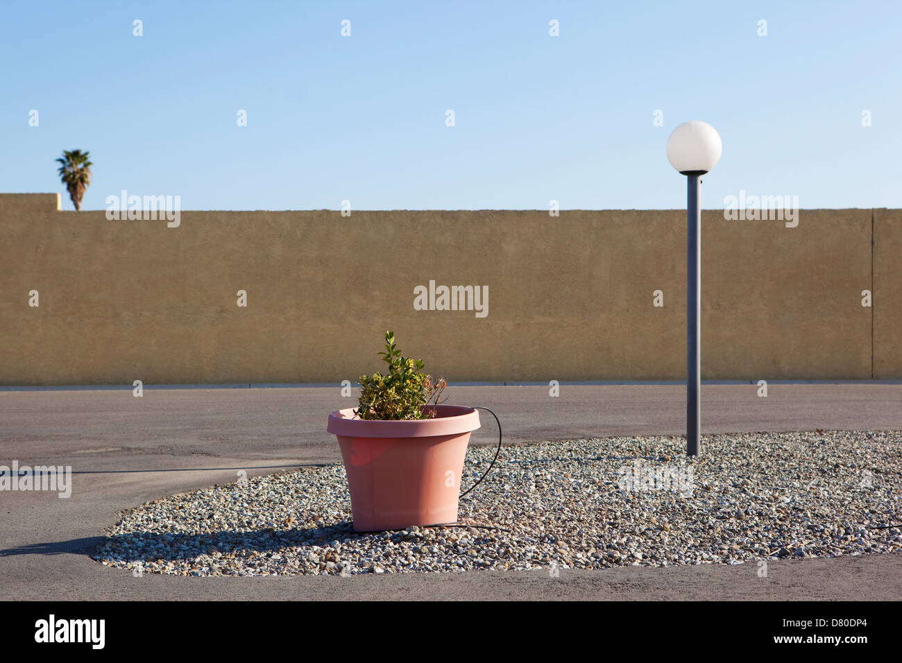 Pot en plastique avec plante en RV park Banque D'Images