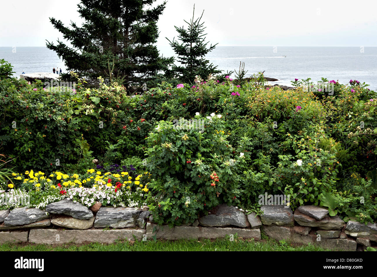 Jardin mixte le long d'un mur de pierre donnant sur l'océan Atlantique, dans le Maine. Au-delà, un hors-bord, 4 personnes dans la distance. Banque D'Images