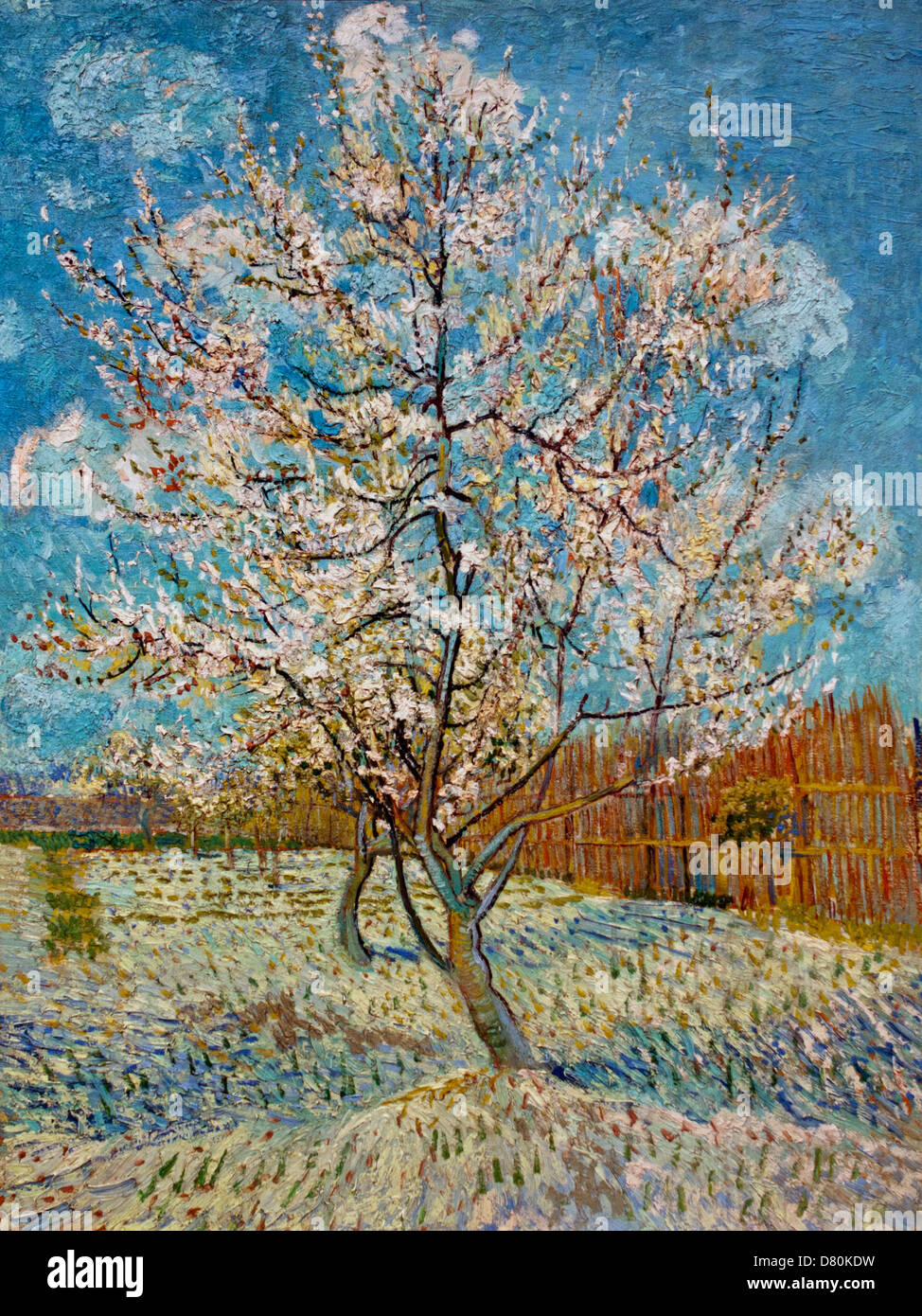 Arbre en fleurs Vincent van Gogh 1888 1853 - 1890 post impressionnisme Néerlandais Pays-Bas Banque D'Images