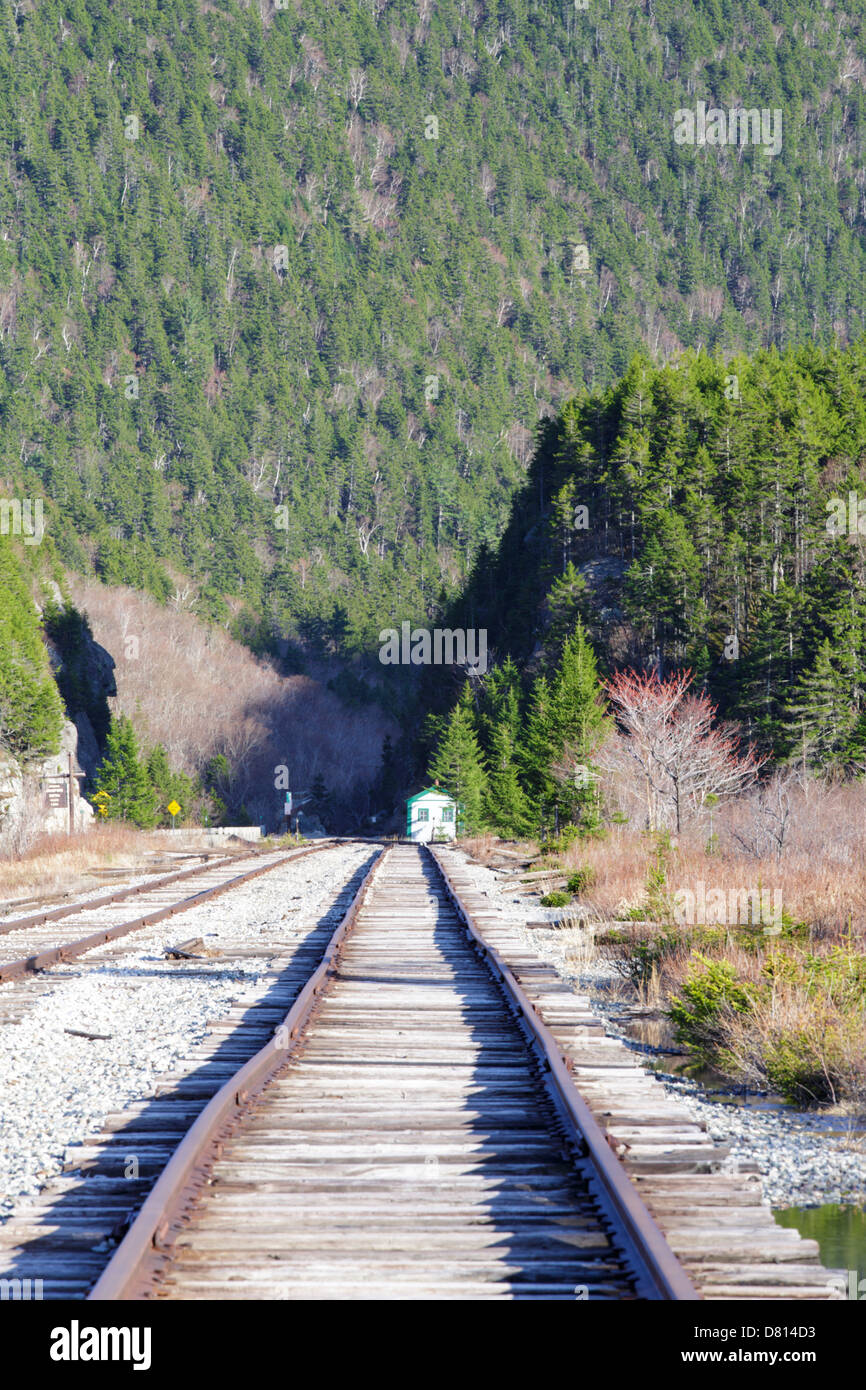 Conway Scenic Railroad près de Crawford Depot dans les Montagnes Blanches du New Hampshire, USA Banque D'Images