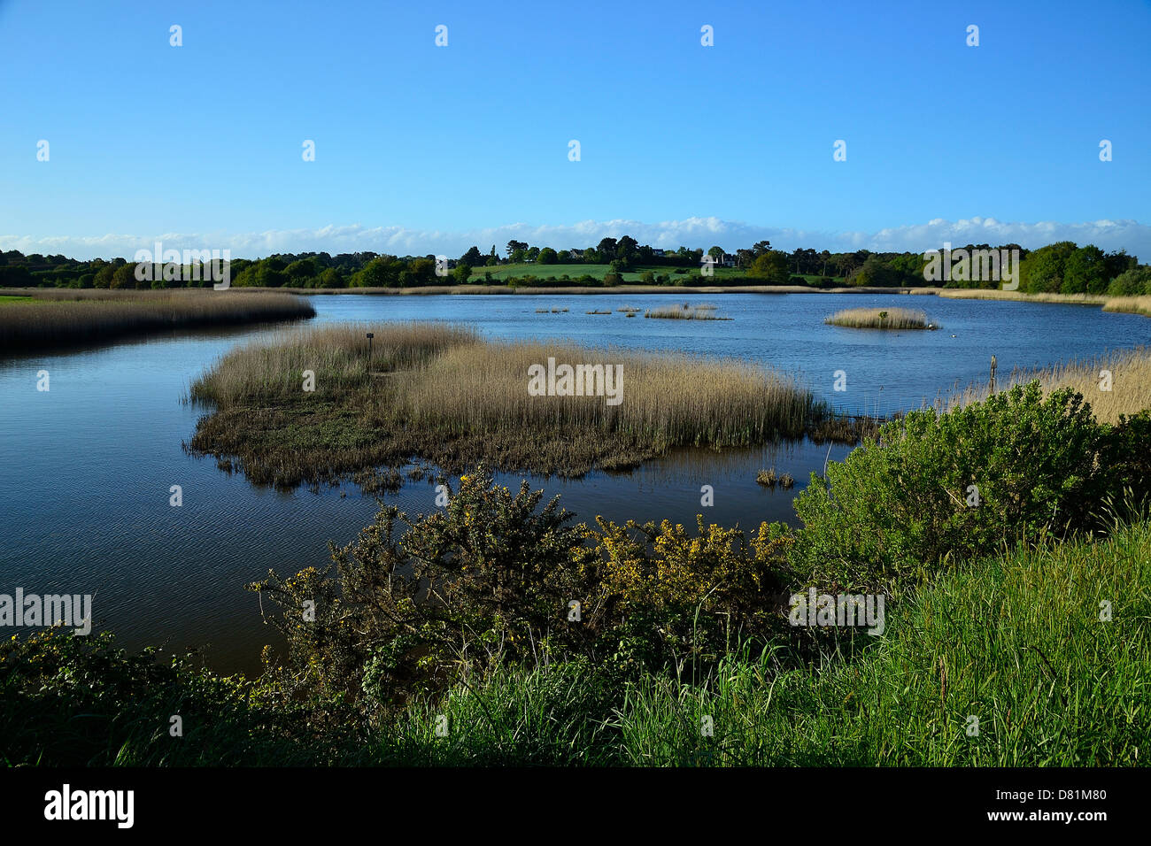 Marsh, près le moulin à marée de pomper, à larmor baden (Morbihan, Bretagne, France). Banque D'Images