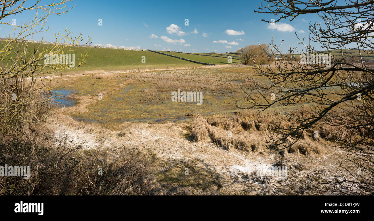 L'turlough (lac éphémère) à Burren, comté de Clare, Irlande Banque D'Images