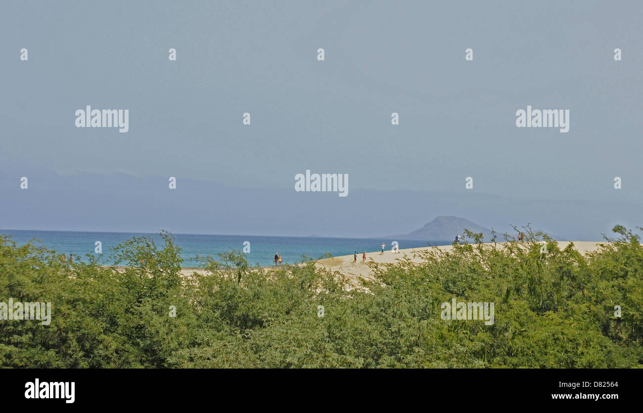 Ponta Preta beach Santa Maria Sal au Cap Vert Banque D'Images